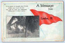 1910 Lyndon Illinois IL Vintage Postcard Tiny Grain Message Pennant Trees Posted picture