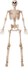 JOYIN 6.9 FT Halloween Posable Life Size Skeleton, Full Body Realistic Skeleton picture