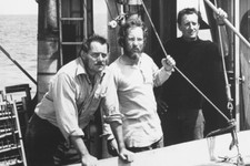 JAWS B&W 24x36 inch Poster PRINT CAST picture