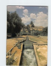 Postcard Elisha Spring Jericho Palestine picture