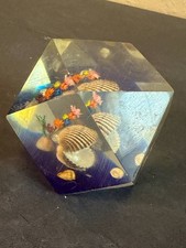 Vintage Acrylic/Lucite Encased Sea Shells MCM  picture