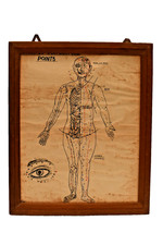 Antique Hand Painted Acupuncture Chart Front View Human Anatomy Art India 1940s picture