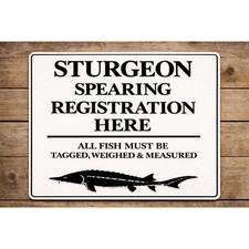 Sturgeon Spearing Registration Sign Fish Fishing Spear DNR  picture