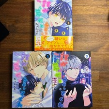 Someone Please Tell Me It's a Dream Volumes 1-3 Mischel Boys' Love Manga picture