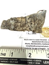 Rhynie Chert Devonian Period Scotland  RC4 picture
