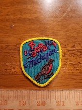 Vintage State of Michigan Sew On Patch  V1 picture