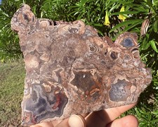 ☘️RR⛏️:  Polished “Big Diggings” Agate Slab, Sunshine New Mexico, 5” picture