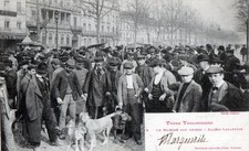 Old postcard 31 TOULOUSE TYPES LE MARCHE AUX CHIENS ALLES LAFAYETTE (back not divided) picture