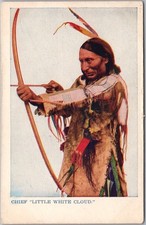 c1910s Native Americana / Indian Postcard 