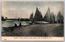 K32/ Brockport New York Postcard c1910 Monroe Co Sandy Creek Sailboats 10 picture