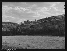 Photo:Birney Lame Deer Montana 1941 Grazing Land Rolling Hills Rangeland picture