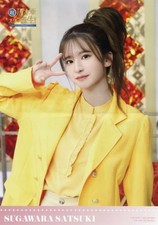 Nogizaka46 Sugawara Satsuki A3 Poster - Nogizaka Star  Vol 3 Japan picture