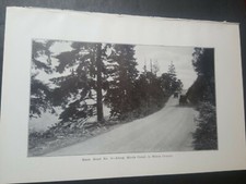 1924 photo plate antique cars Olympic highway dirt road Mason Co WA Hoods Canal  picture