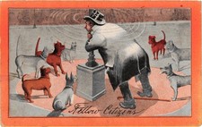 Vintage Humorous Postcard Man Speaking to Dogs 