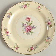 Household Institute Priscilla Cream and White  Dinner Plate 227453 picture