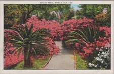 MR ALE ~ Azelea Trail Mobile Alabama AL c1920s UNP Postcard 7231c1 picture