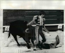 1971 Press Photo Bull Fighting Scene picture