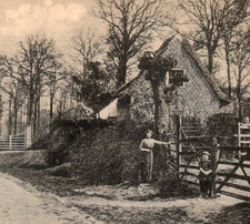 * Antique RPPC DB Postcard Kemmel LA Warande Chateau Belgium Pre WW1 C1900s picture