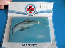 Dolphin Tail Movie Winter Dolphin Magnet Clearwater  MARINE AQUARIUM New A1 picture
