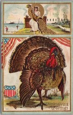 1909 Patriotic THANKSGIVING Embossed Postcard Columbus with Cornucopia / Turkey picture