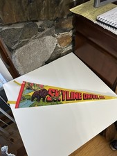 Vintage Skyline Drive Felt Pennant Virginia picture