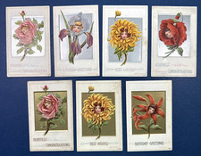 SET 7 Children Greetings Antique Postcards. EMB. Portraits in Flowers. Colorful picture