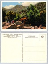 Chimney Tops Great Smoky Mountains National Park Tennessee TN Postcard picture