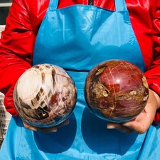 2PCS 6.29LB Natural Petrified Wood Agate Sphere Crystal Healing Specimen 4097 picture