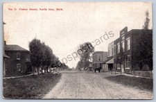 K51/ North Star Michigan Postcard c1910 Center Street Stores 168 picture
