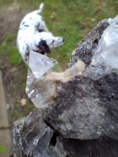  💯 Genuine Herkimer 💎  On Natural  Dolostone Matrix  