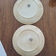 Antique J & E Mayer Stone China Plate. picture