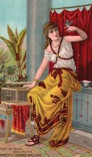 1880s-90s Woman In Colorful Dress with Butterfly Domestic Sewing Machine picture
