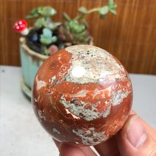 236g NATURAL money Mexico agate sphere Hand polished Ball Crystal specimen A5002 picture