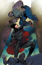 Miss Fury Volume 2: Walk Through The Valley picture