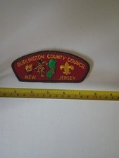 Burlington County Council CSP BSA New Jersey Black Plastic picture