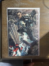 Amazing Spider-Man 1:100 #19 Lee Bermejo Amazing Visions Virgin Variant NM picture
