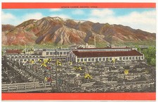 Stock Yards, Ogden, Utah, Unused, Unposted Vintage c1940's Linen Postcard picture