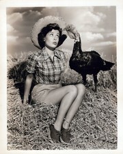 Hollywood GLORIA DE HAVEN STUNNING PORTRAIT STYLISH POSE  1940s ORIG PHOTO 908 picture