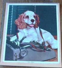 (6) 1950's Brown Bigelow Calendar Top Salesman Sample Lithographs -Cute Puppies picture