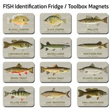 Fishing Fisherman Gift Fish ID Fridge Toolbox Magnet Magnets YOU CHOOSE Cottage picture
