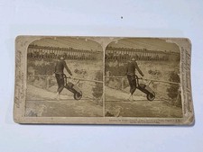 Daredevil Clifford Calverley Tightrope Walker Over Niagara Falls Stereoview 1893 picture