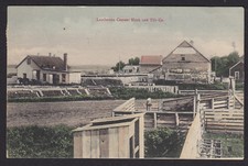 Minnesota-MN-Lamberton-Cement Block & Tile Co-Antique Postcard picture