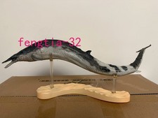 50cm Official PNSO Basilosaurus Prehistoric Marine Mammal Model Toy Gift picture