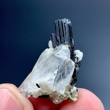 31 Carat Tourmaline Crystal With Quartz Specimen From Pakistan picture