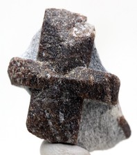 STAUROLITE Fairy Cross Crystal Mineral Display Specimen Natural Twin Cluster  picture
