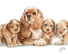 ✤ ORIGINAL Oil Dog Portrait Painting AMERICAN COCKER SPANIEL Artist Signed Art picture