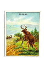 1910 T73  STALKING DEER #46, Indian Life In The 60's, Set Break, VG-Ex picture