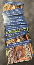WISCONSIN WILDCARDS, 30 Blue Cards Assorted 3-1/2