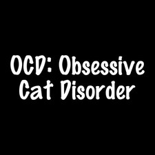 OCD Obsessive Cat Disorder Pet Decal Sticker White Die Cut Vinyl picture