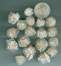 8 Ounces Natural Selenite Crystals Desert Rose Rough Petite Desert Rose pieces picture